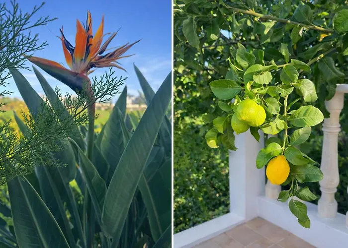 Marianna I - Spacious Sea View With Private Pool - Sea Caves Villa Pégeia